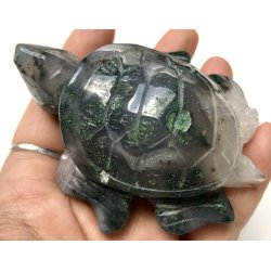 Mos agat skildpadde-5