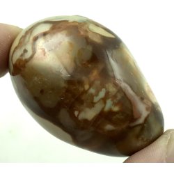 Polychorme jaspis palmsten -16