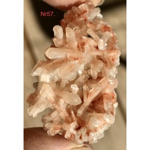 Smukke natur Apophyllit fra Indien -57