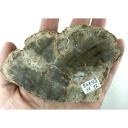 Forstenet tr skive-3