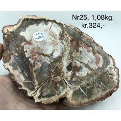 Forstenet tr skive-25