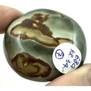 Polychorme jaspis palmsten -7