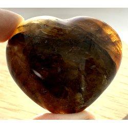 Golden healer hjerte-16