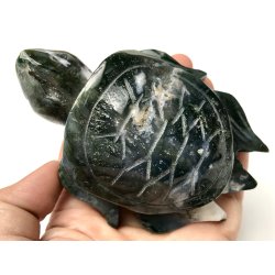 Mos agat skildpadde-9