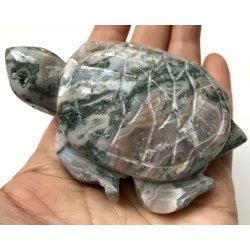 Mos agat skildpadde-11