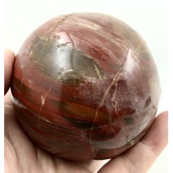 Forstenet tr kugle -1