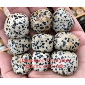 Dalmatiner lommesten. 