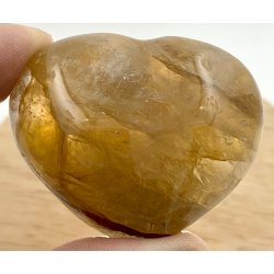 Golden healer hjerte-19