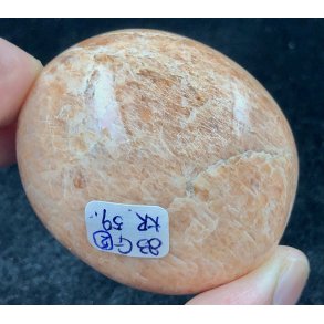 Fersken mnesten palmsten-2