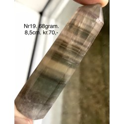 Multi regnbue flourit trn-19