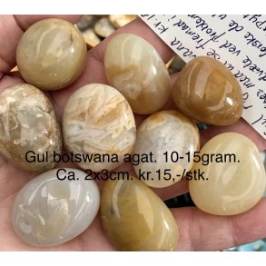 Botswana agat gul lommesten. 