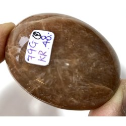 Fersken mnesten palmsten-9