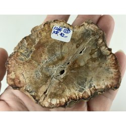 Forstenet tr skive-15