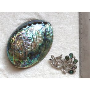 brocher-5, abelone borcher, ca. 5mm 