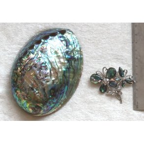 brocher-7, abelone borcher, ca. 5mm 