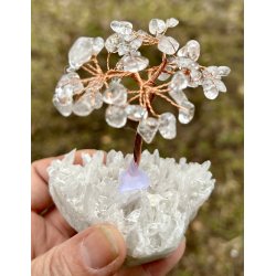 Krystal tr-bjergkrystal fod+bjergkrystal