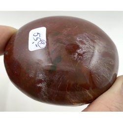 Forstenet tr palmsten-9