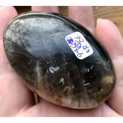 Sort mnesten palmsten-15