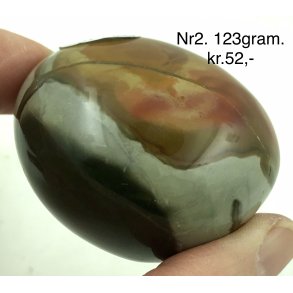 Polychorme jaspis palmsten -2