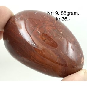 Forstenet tr palmsten-19