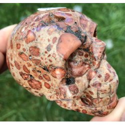 Leopard skin jaspis kranie. 4,5x5x7,5cm. 