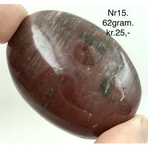 Forstenet tr palmsten-15