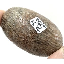 Lodolit  kvarts palmsten-4