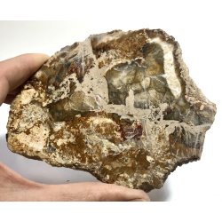 Forstenet tr skive-14