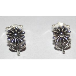 S925 sterlingsølv ørestikker-14