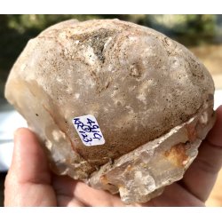 Natur r Blomster agat-5