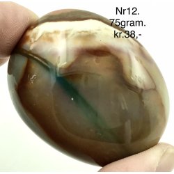 Polychorme jaspis palmsten -12