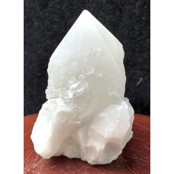 Natur r kaktus bjergkrystal-7