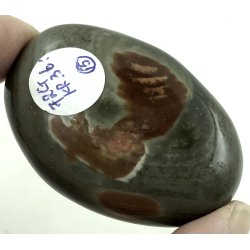 Polychorme jaspis palmsten -15