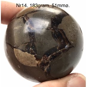 Septarie kugle-14