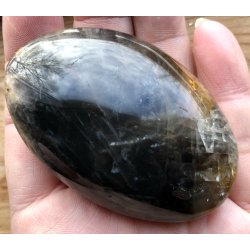 Sort mnesten palmsten-15