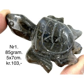 Mos agat skildpadde-1