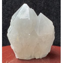 Natur r kaktus bjergkrystal-5