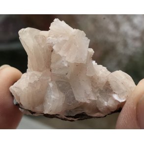 Smukke natur Apophyllit fra Indien -42