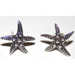 S925 sterlings&oslash;lv &oslash;restik-35, 13mm