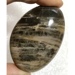 Sort mnesten palmsten-6