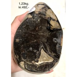 Septarie krystal g -2