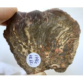 Forstenet tr skive-21