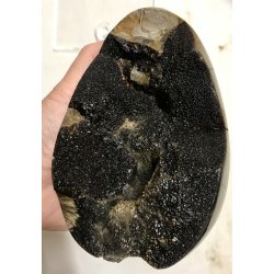 Septarie krystal g -17