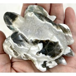 Mos agat skildpadde-2