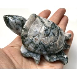 Mos agat skildpadde-8