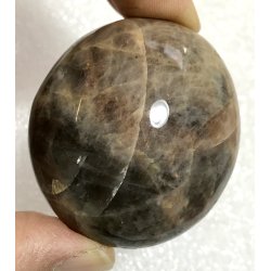 Sort mnesten palmsten-14