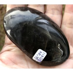 Sort mnesten palmsten-3