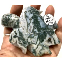 Mos agat skildpadde-11