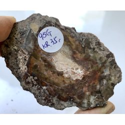 Forstenet tr skive-16