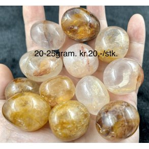 Golden healer. 20-25gram. 